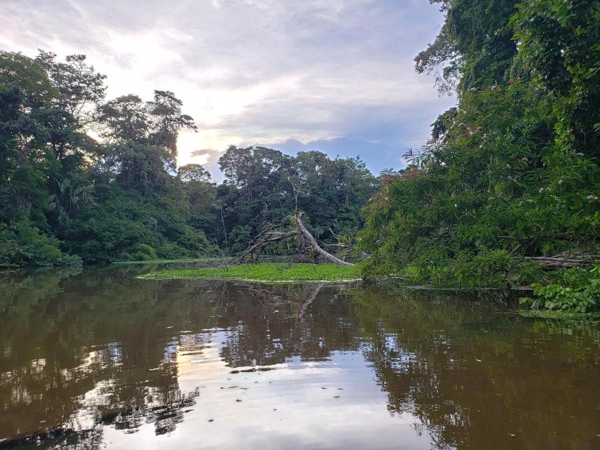 Casa Thirema Tortuguero 호텔 외부 사진