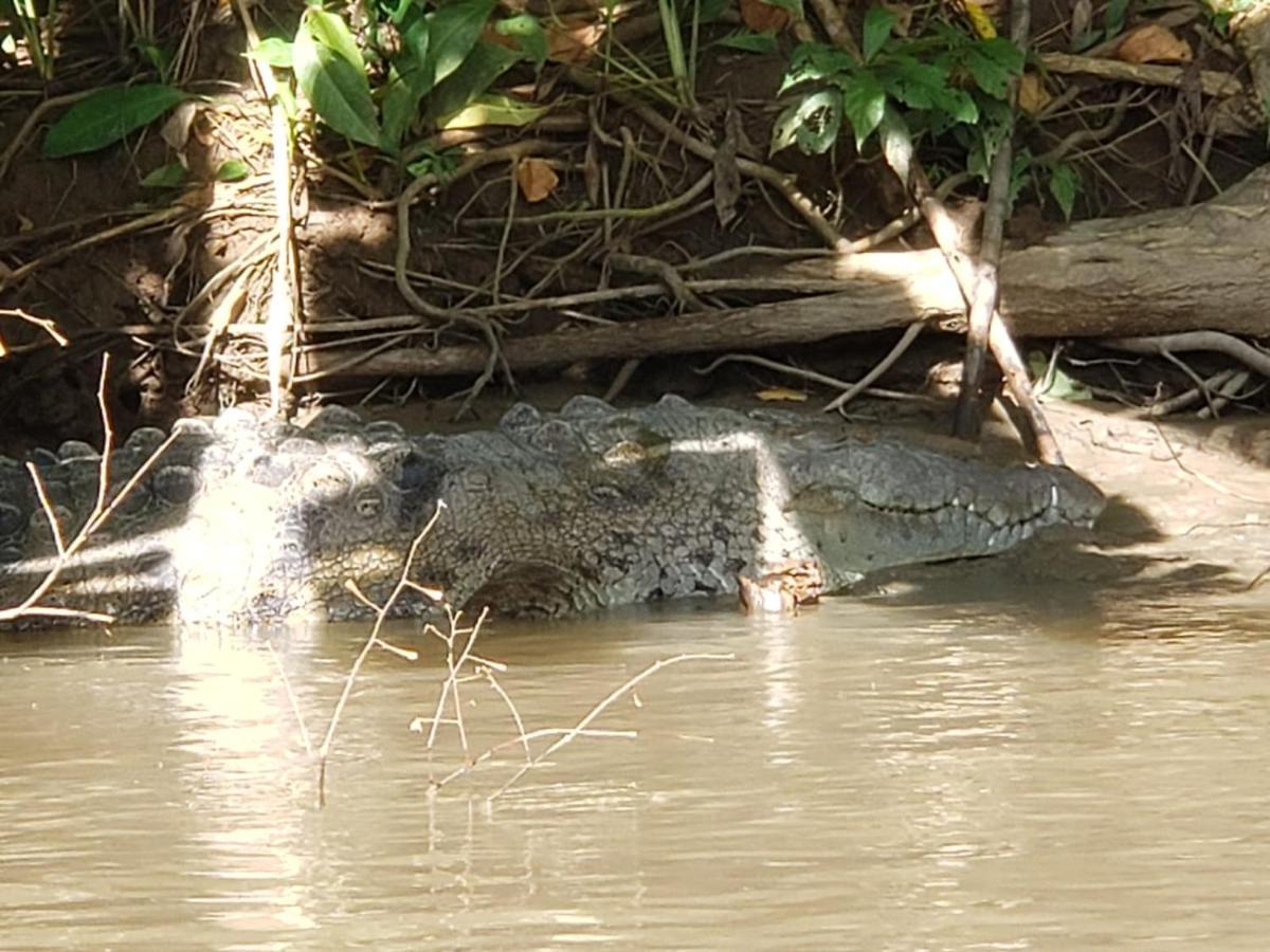 Casa Thirema Tortuguero 호텔 외부 사진