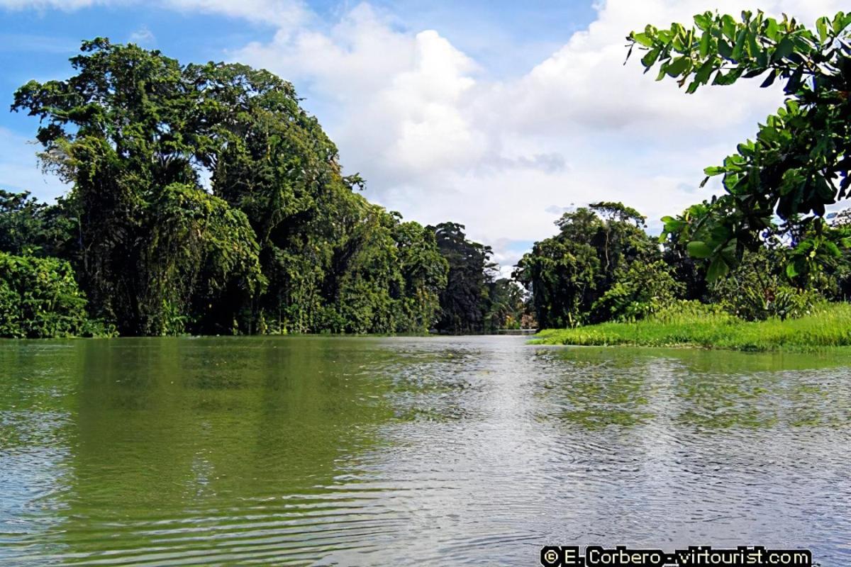 Casa Thirema Tortuguero 호텔 외부 사진