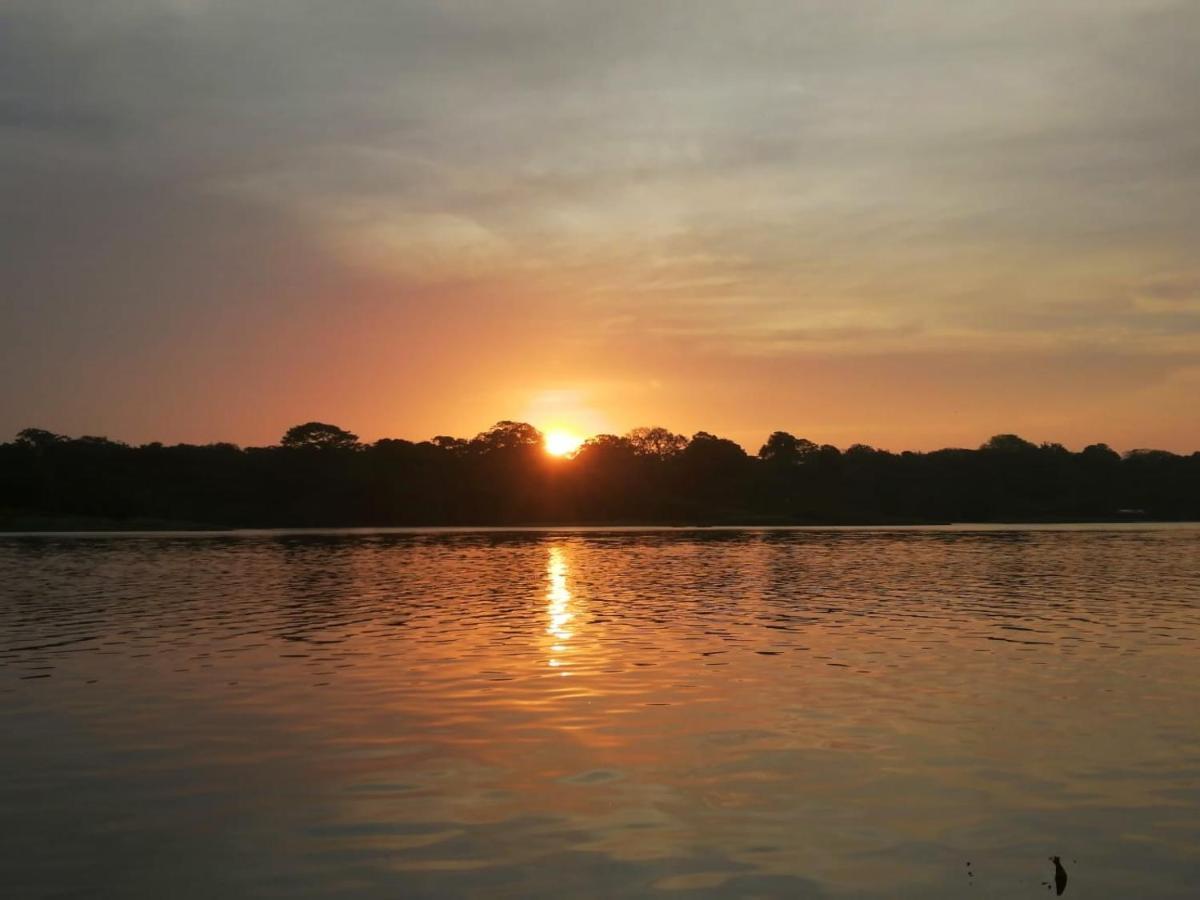 Casa Thirema Tortuguero 호텔 외부 사진